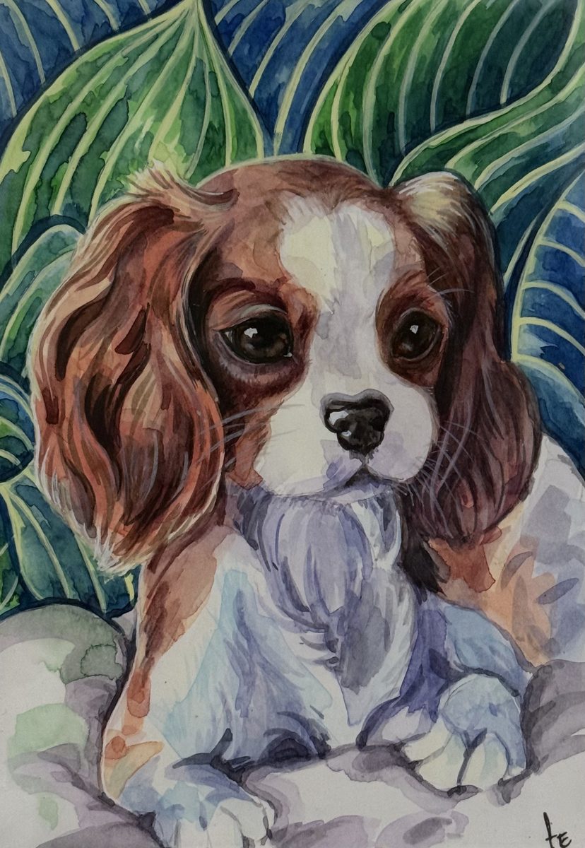 Cucciolo tropicale — Fedomina