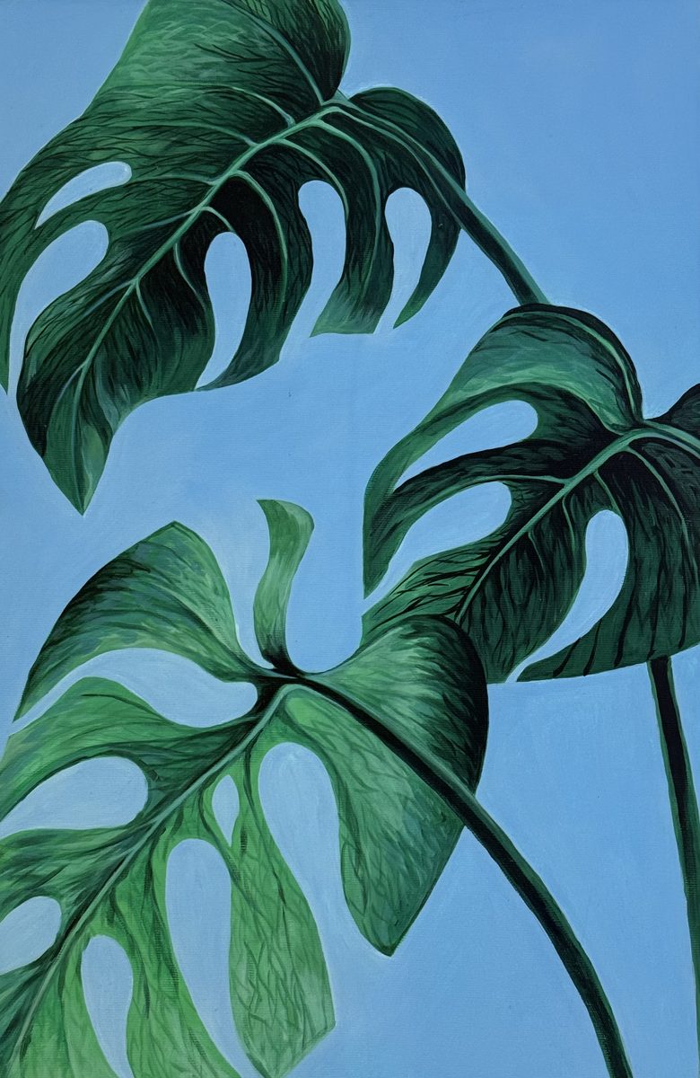 Monstera — Fedomina