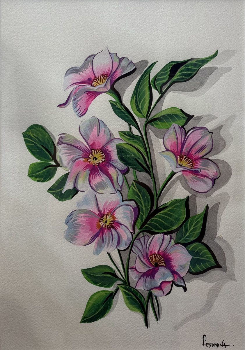 Fiori rosa — Fedomina